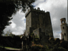 Blarney Castle II
