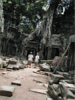 Ta Prohm II